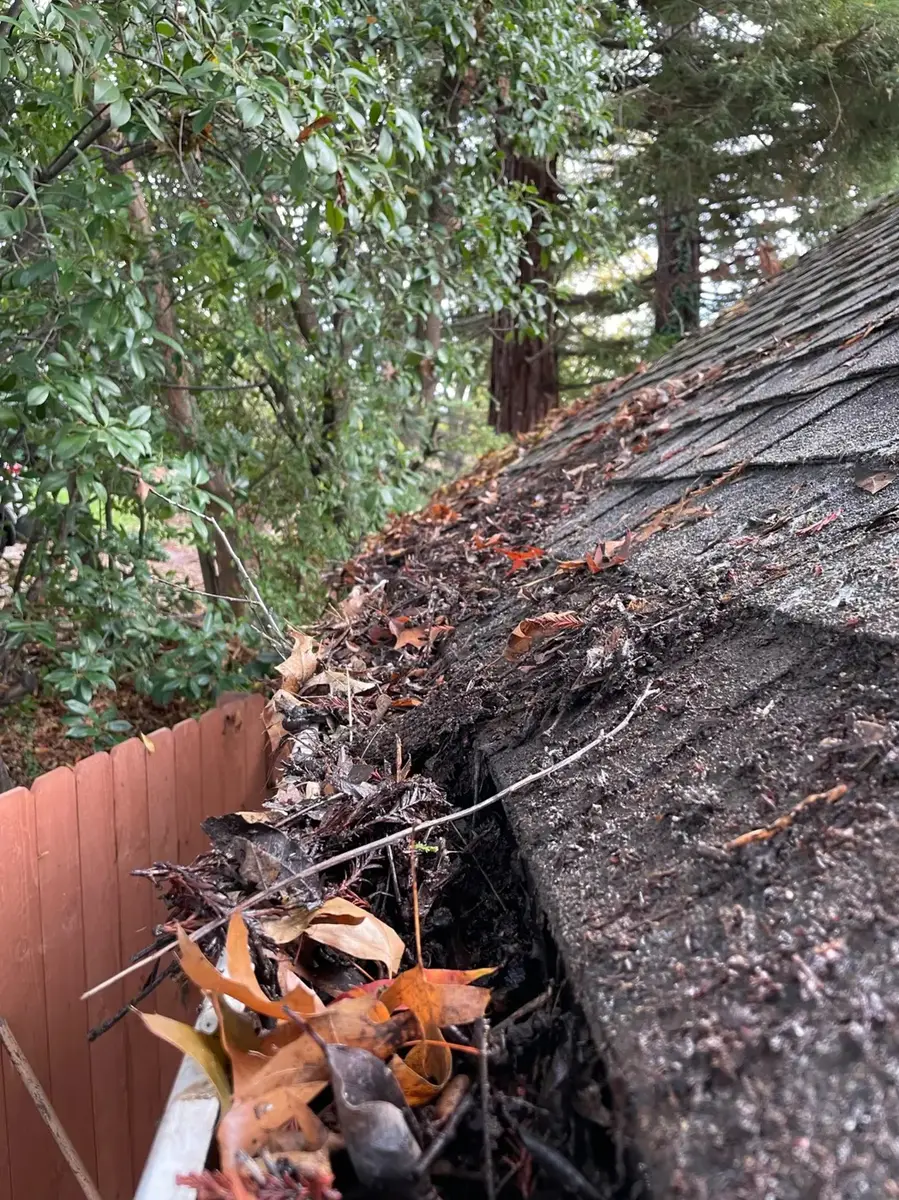 Gutter packed with leaves and roof debris before cleaning