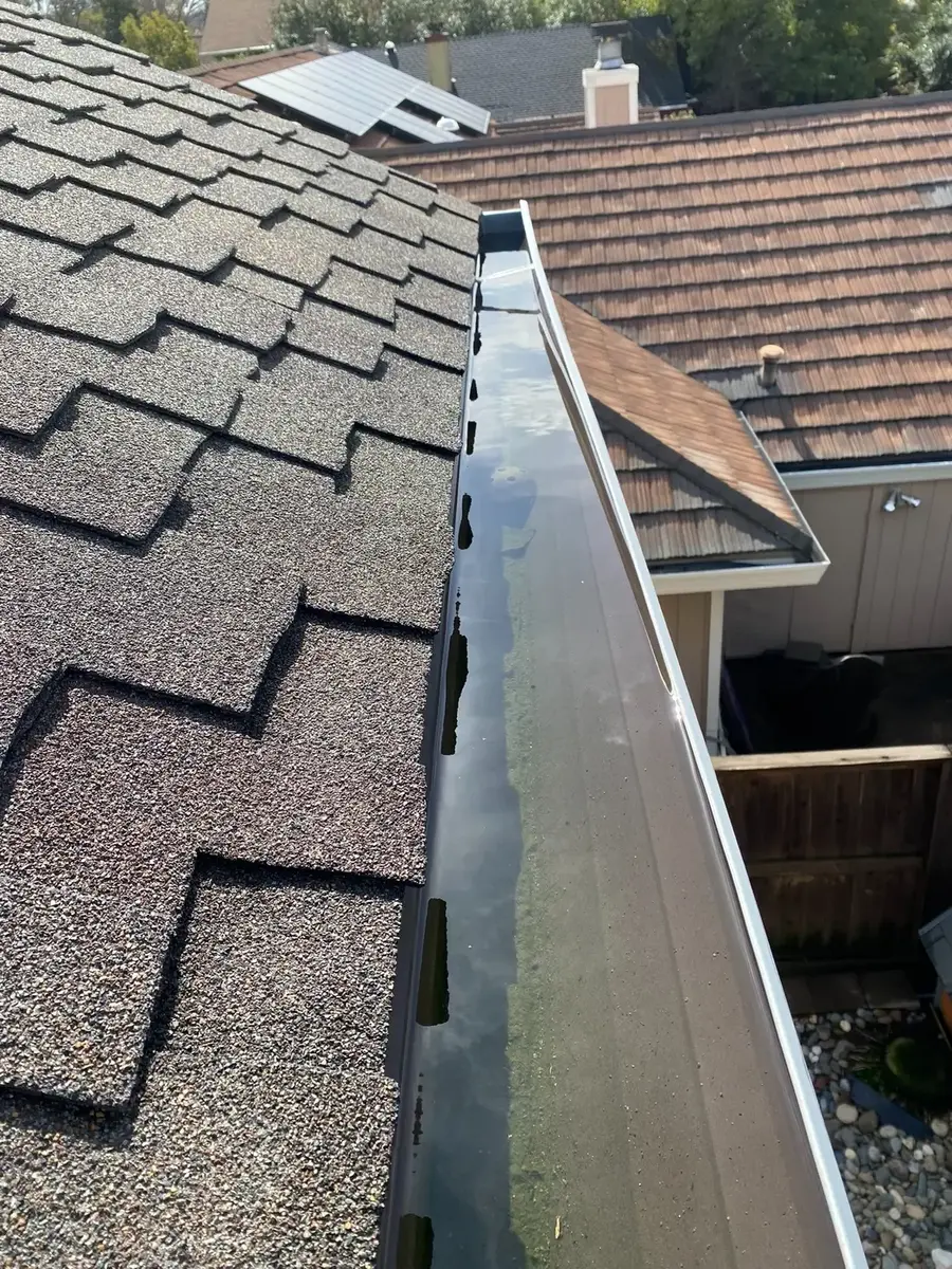 Standing water and buildup in a residential gutter before cleaning