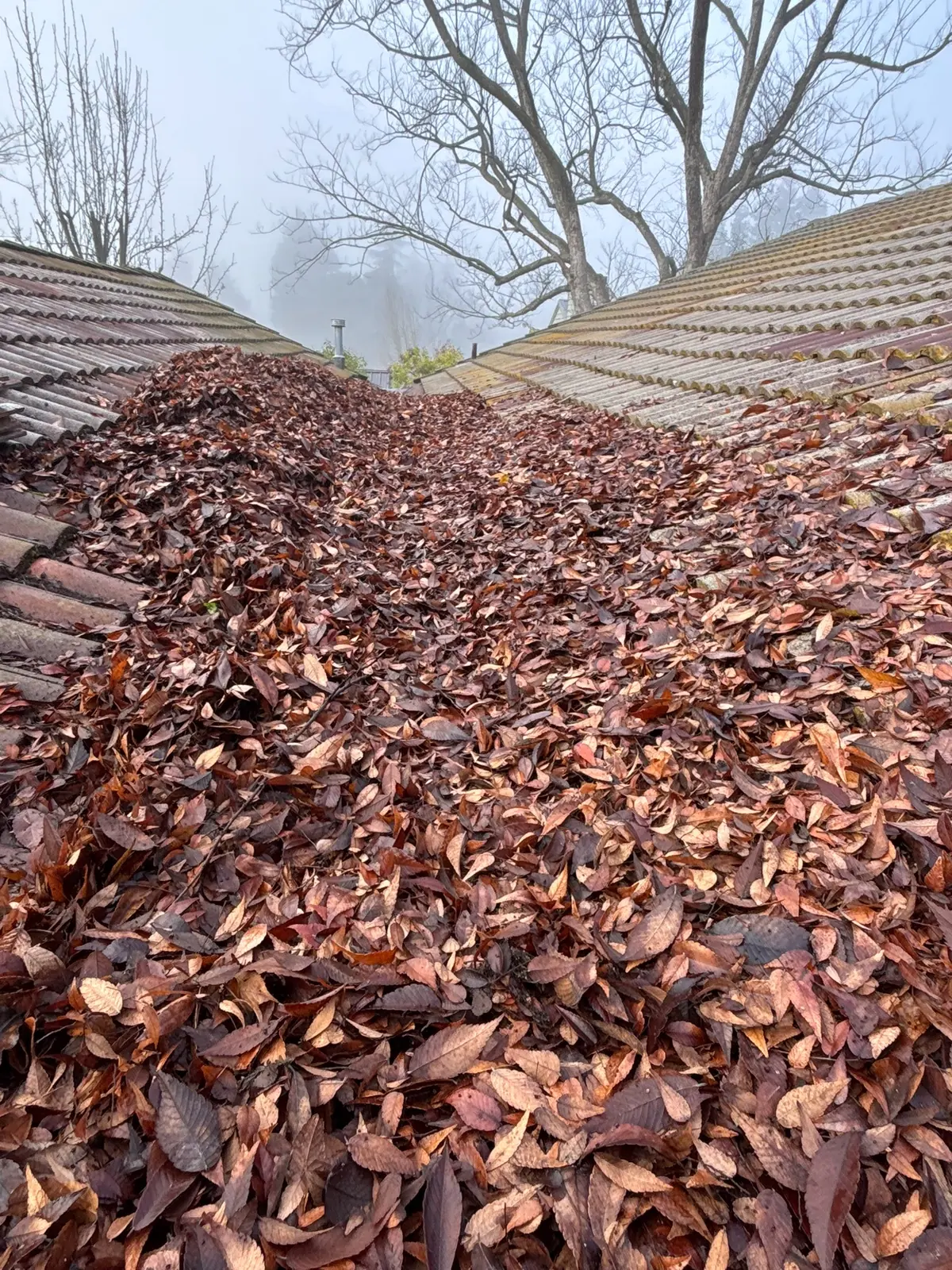 Roof valley filled with fallen leaves before clearing